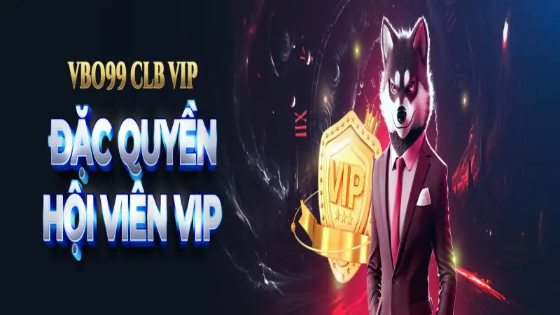 dac-quyen-vip-vbo99
